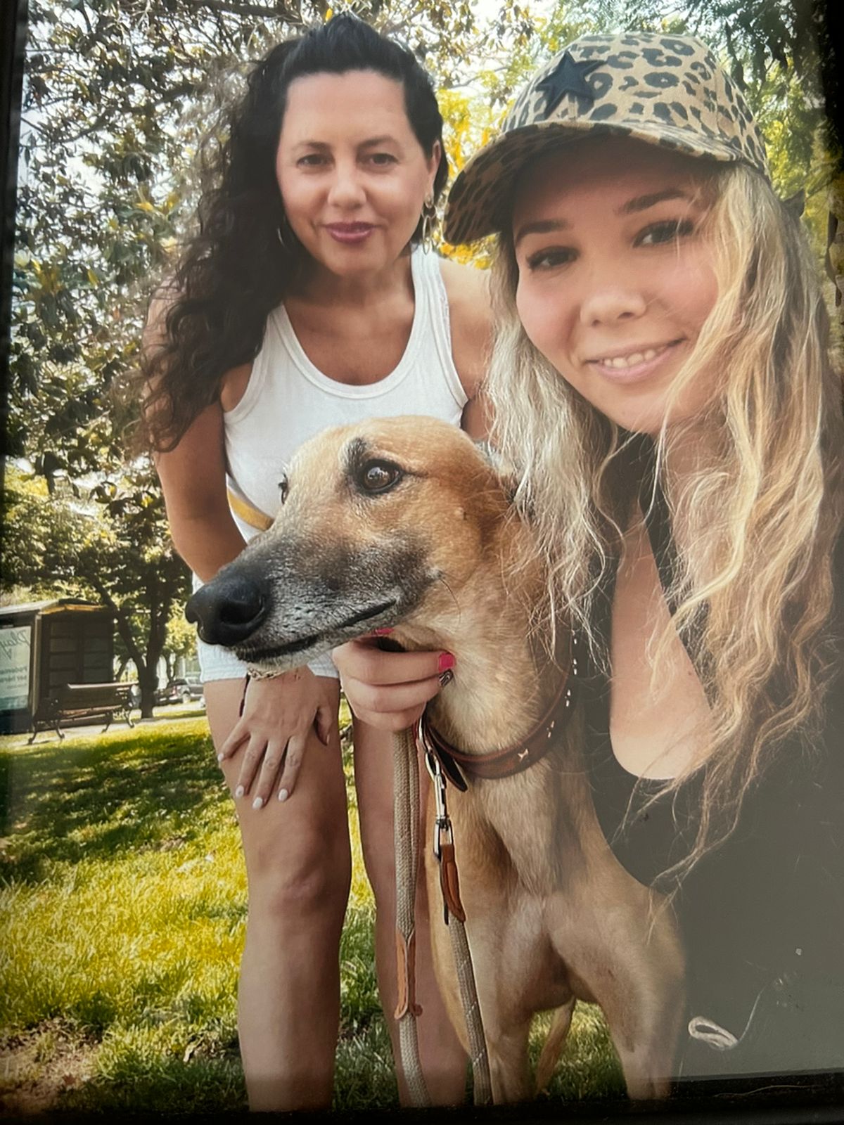 Mi familia